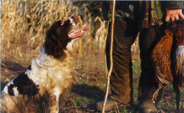 CB apoya la concentración por la igualdad de trato entre perros domésticos y de caza