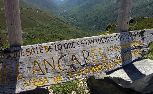 La Red Española de Reservas de la Biosfera premia al Instituto de Estudios Bercianos