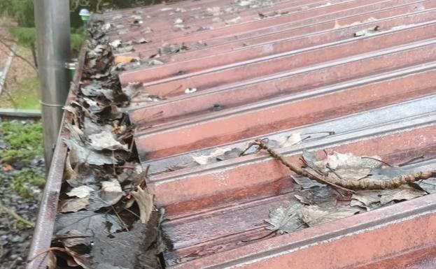 La brigada de obras de Ponferrada realiza reparaciones en los colegios Peñalba y el de Columbrianos