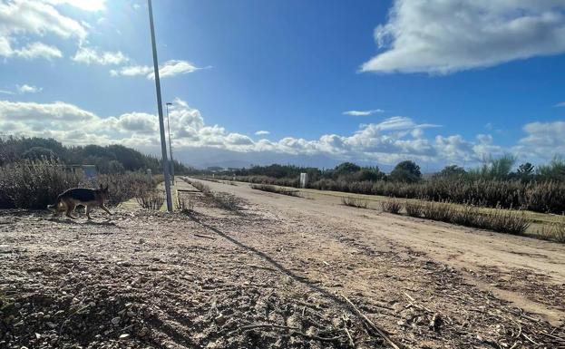 El PP de Cubillos del Sil critica el «abandono total» del área industrial de El Bayo