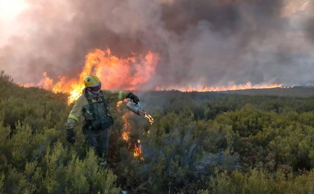 La Junta da por extinguido el incendio en los montes de Oencia que amenazó una zona repoblada