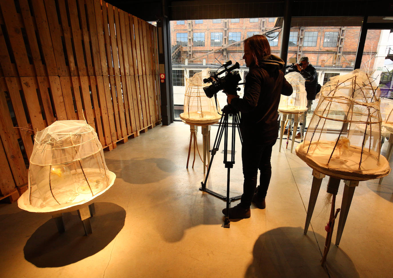 'Seda', nueva exposición del Museo de la Energía