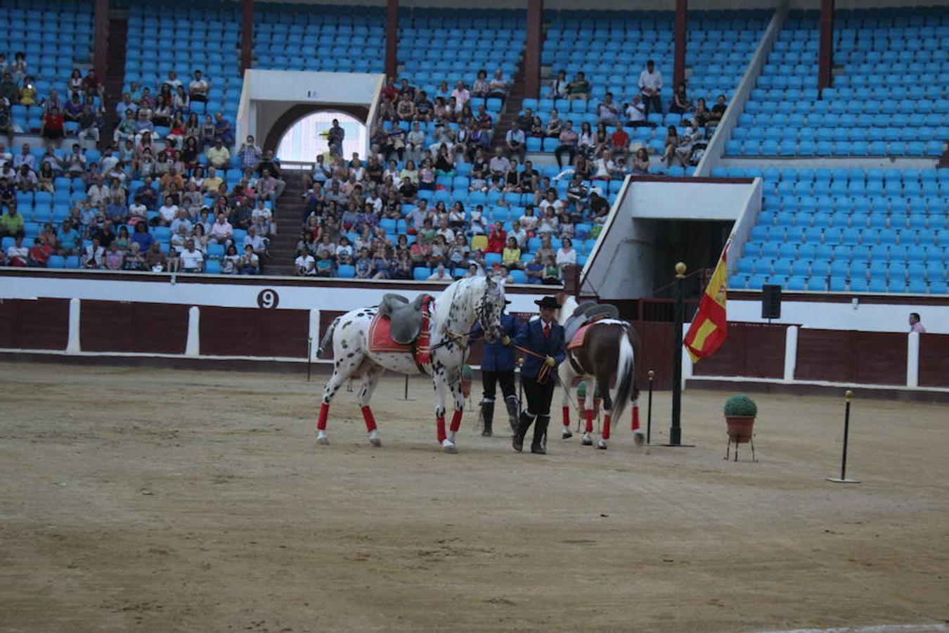 Los caballos y el flamenco