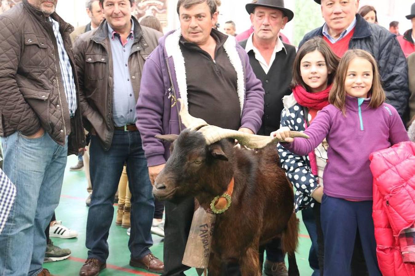 El chivo, protagonista