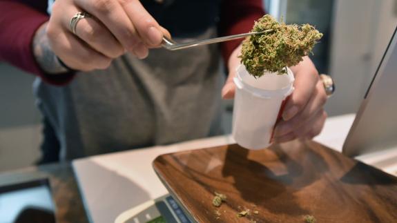 El cannabis medicinal gana muchos adeptos entre dudas