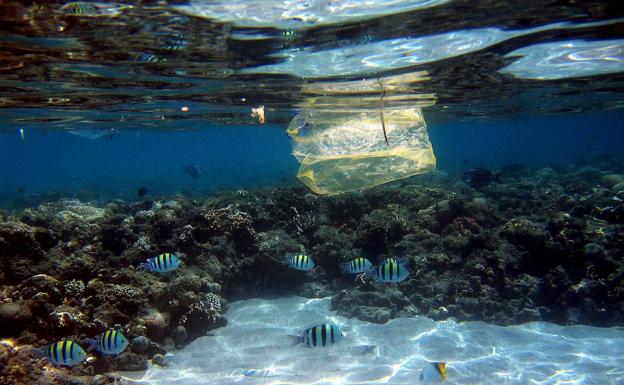 Hay un plástico cada cuatro metros en el Mediterráneo