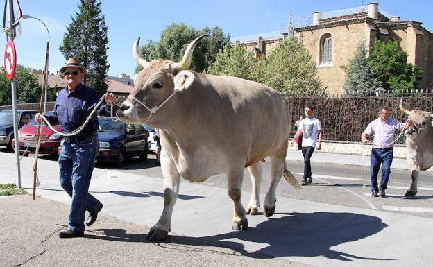 León pone 'Rumbo al norte'