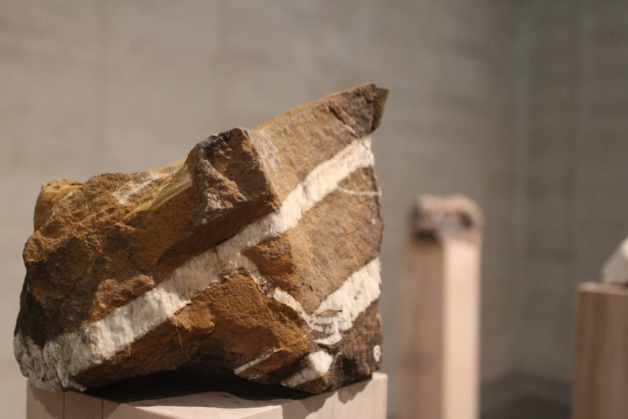 Nueva exposiciones del Musac