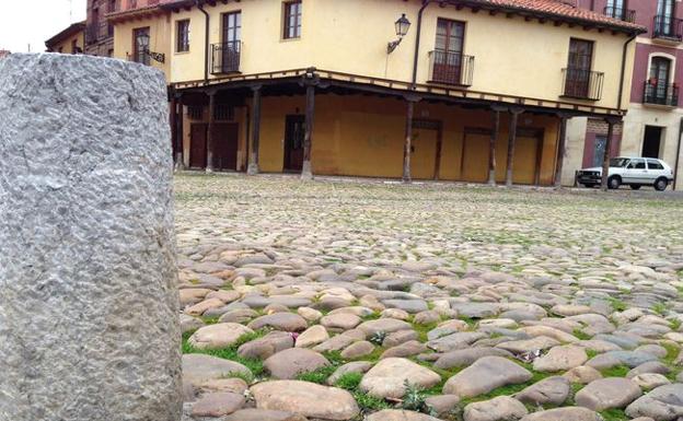 'Salvemos la Plaza del Grano' pide «transparencia» a la Comisión Leonesa de Patrimonio