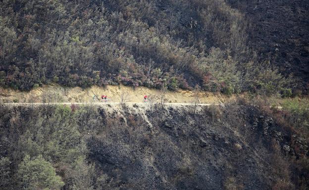 Una subasta de arte recaudará fondos para la reforestación por el incendio de la Tebaida berciana