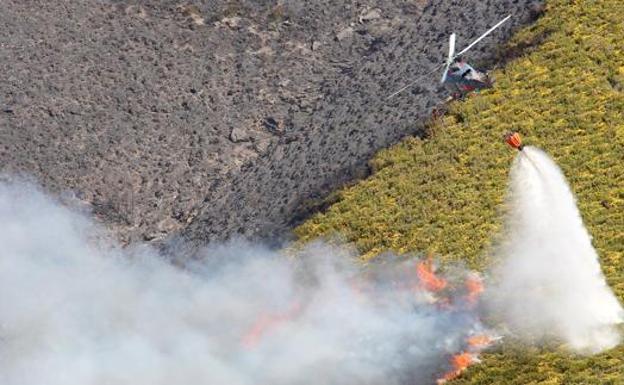 La Asociación Forestal de León reclama que aumente el número de agentes del Seprona en los montes de la provincia