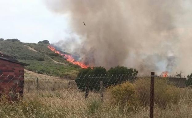 Un incendio calcina una zona de monte bajo en San Andrés