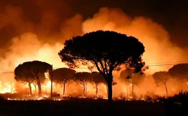 Varias carreteras cortadas y más de 2.000 desalojados por el incendio que acecha a Doñana