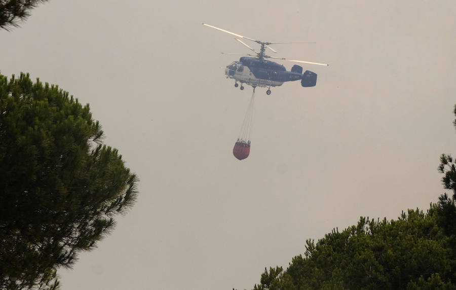 El incendio de Huelva, en imágenes