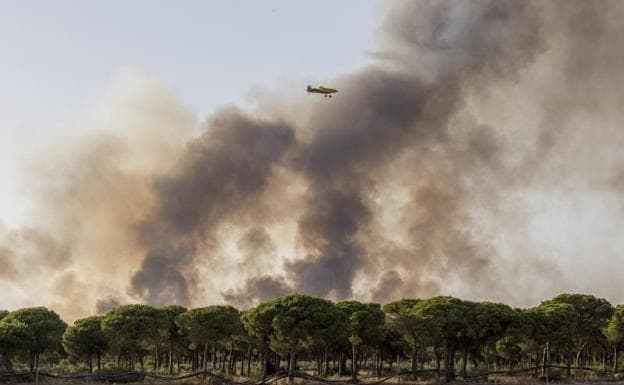 Tres focos continúan activos en el incendio de Doñana