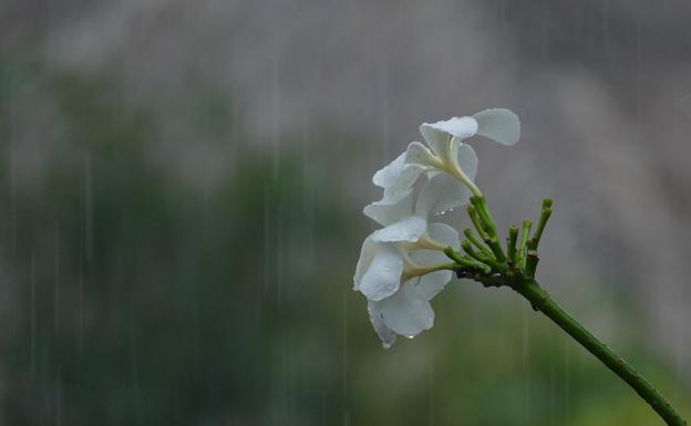 León, en alerta por lluvia y tormentas, ve caer las temperaturas