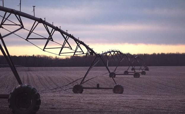 Más de una de cada cuatro hectáreas de Castilla y León se riega por inundación pese al despilfarro que supone