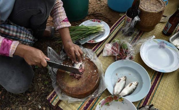 Un plato de pescado que causa cáncer con comerlo una sola vez