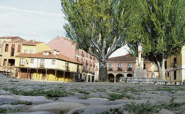 El Ayuntamiento llevará a la junta de gobierno local la aprobación y contratación de la Fase III de las obras de la Plaza del Grano