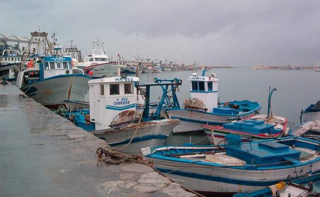 Hallan el cadáver de una mujer en el puerto pesquero de Estepona