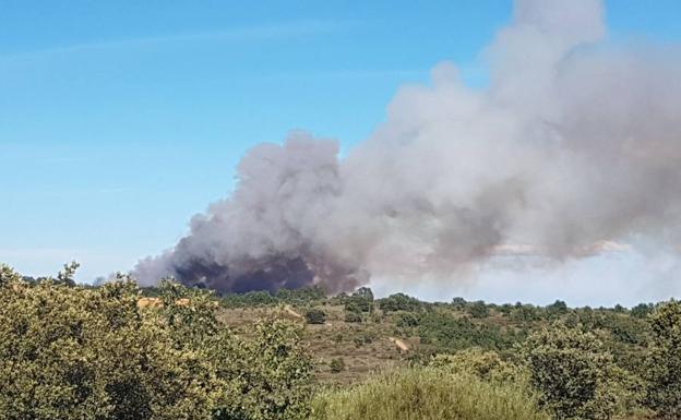 Varios medios aéreos y terrestres participan en la extinción de un incendio declarado esta tarde en Cimanes del Tejar