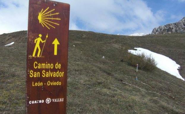 El Ayuntamiento de Cuadros prepara la carrera más original del año