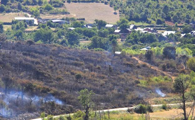 Controlado el incendio de Borrenes que arrasó cerca de 70 hectáreas de arbolado