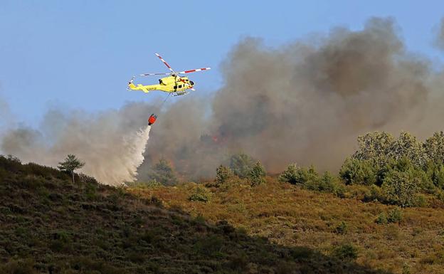 El incendio de San Cipriano calcina una superficie de 140 hectáreas de robledal y pasto