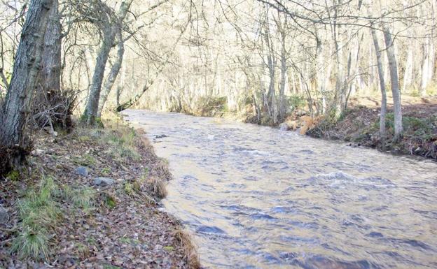 Rechazado el estudio de impacto ambiental para la central hidroeléctrica en el Salto de Ocedo