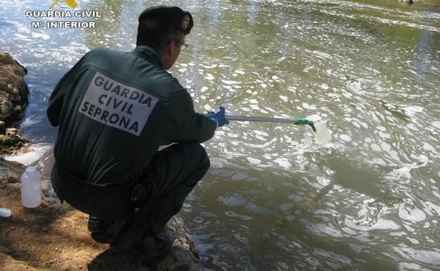 El maltrato animal concentra el 25% de los delitos denunciados por los agentes del Seprona