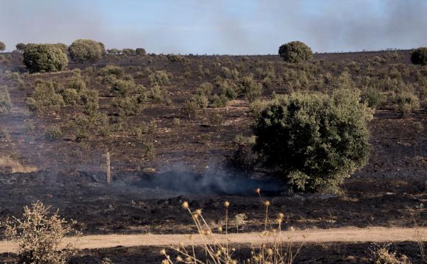 Extinguidos los dos incendios que permanecían activos en la provincia