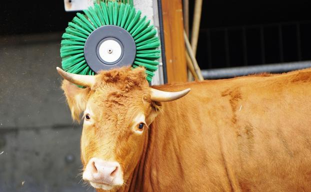 Mercadona exige a los productores leoneses mimar los sentimientos de sus animales
