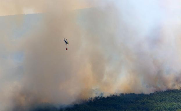 C's propone que la Diputación ofrezca ayuda psicológica a los afectados por los incendios