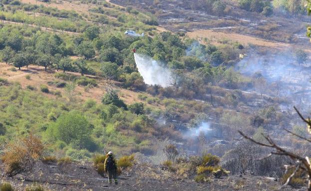 La Junta rebaja a 'nivel 1' el incendio forestal en Borrenes