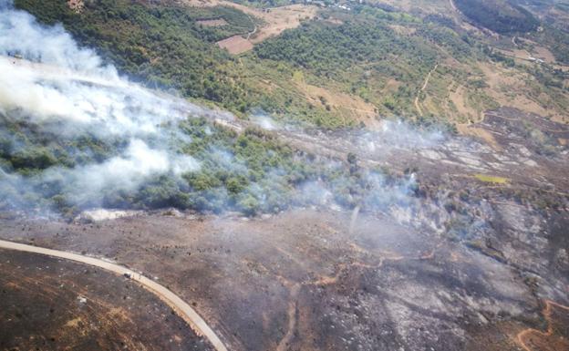 Eduardo Prada, alcalde de Borrenes, califica el incendio de «desastre» y no duda de que es «intencionado»