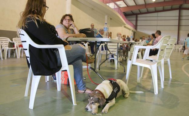 «El que ha hecho esto no tiene perdón de Dios»