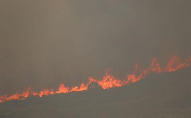 El fuego de La Cabrera se acerca al registro de Castrocontrigo