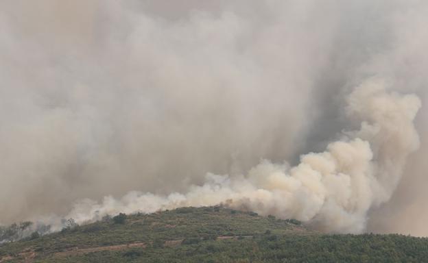 La Junta asegura que el incendio de La Cabrera está «estabilizado»