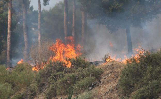 La Junta rebaja el peligro del incendio de Encinedo a nivel 1