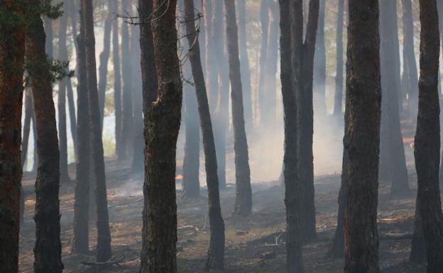 Los alcaldes de La Cabrera estudian pedir ayudas por los daños del incendio