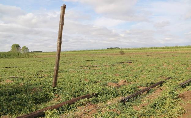 El PSOE pedirá la declaración de 'zona catastrófica' en la zona del Órbigo