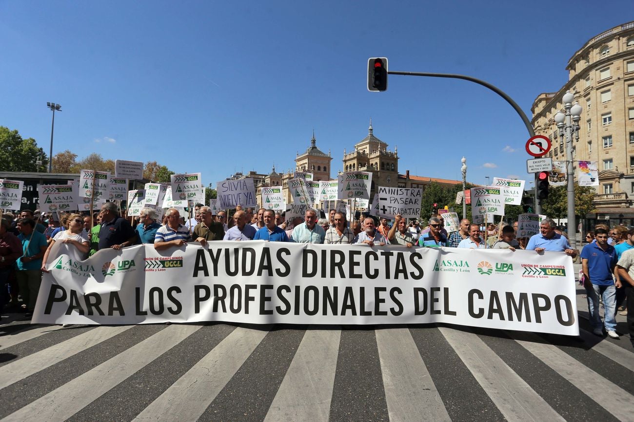 En defensa del campo