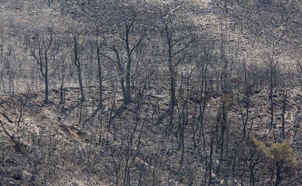 Los alcaldes de la zona de La Cabrera recuerdan al consejero la necesidad de ser zona catastrófica