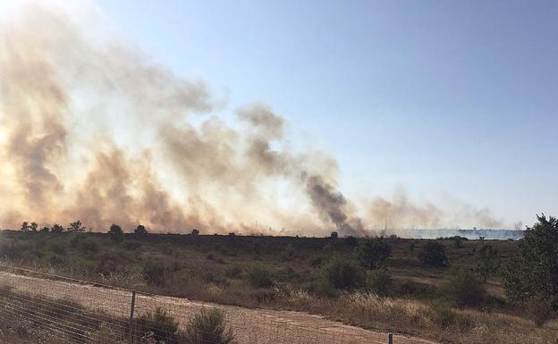 Un incendio en La Virgen del Camino obliga a intervenir a numerosos efectivos