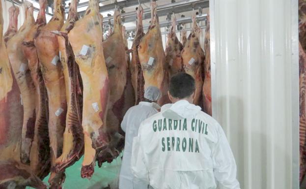 eL BIERZO, EPICENTRO DE LA FALSA CARNE DE CABALLO