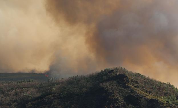 La Junta da por extinguido el incendio de La Cabrera que se inició el 21 de agosto