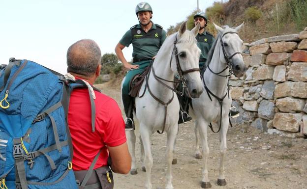 La 'hoja de ruta' del peregrino viaja sobre cuatro patas