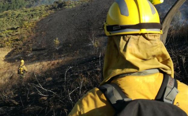 Un fuego intencionado provoca la muerte de varias ovejas y perros en Folgoso de la Ribera