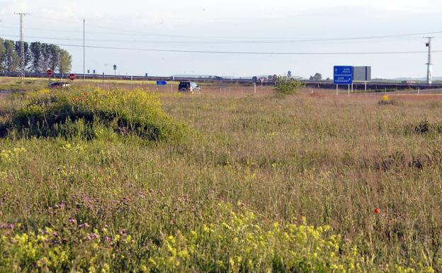 Un exaccionista del Parque de Portillo asegura que la exviceconsejera dudó del proyecto