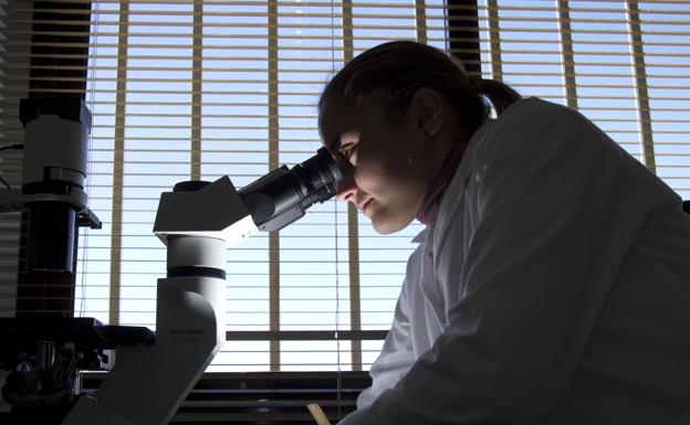 La OCDE alerta a España de la brecha de género en carreras tecnológicas